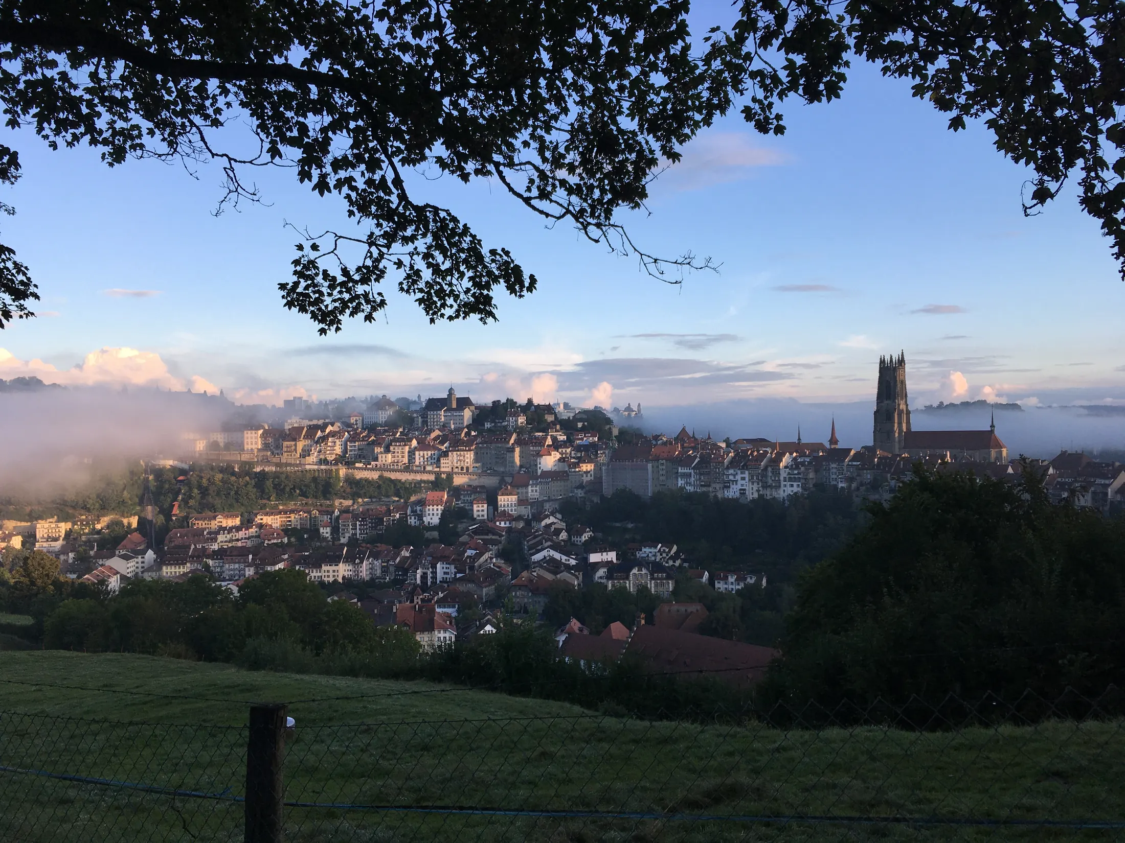 Fribourg